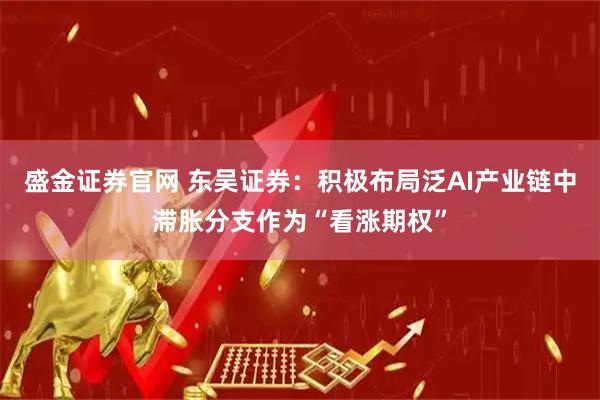 盛金证券官网 东吴证券：积极布局泛AI产业链中滞胀分支作为“看涨期权”