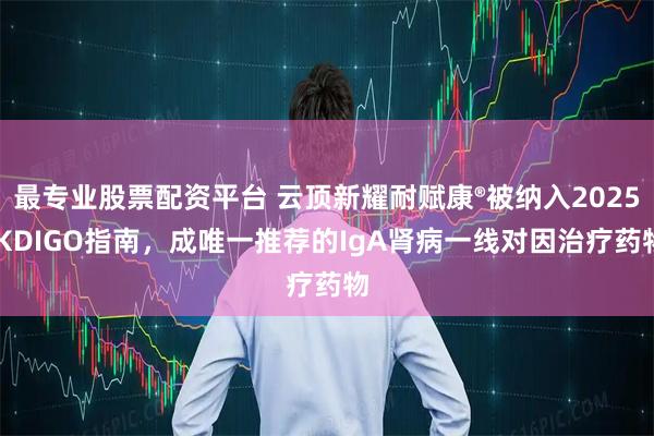最专业股票配资平台 云顶新耀耐赋康®被纳入2025 KDIGO指南，成唯一推荐的IgA肾病一线对因治疗药物