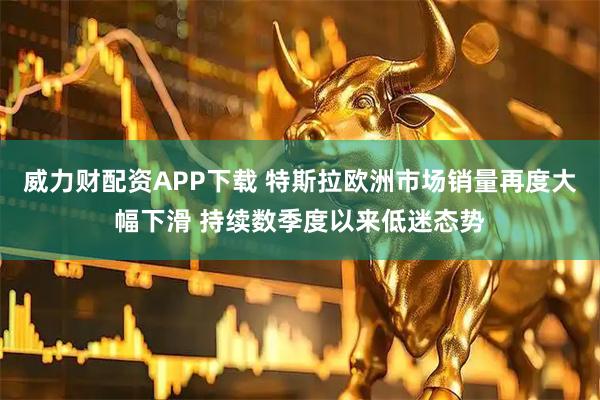 威力财配资APP下载 特斯拉欧洲市场销量再度大幅下滑 持续数季度以来低迷态势