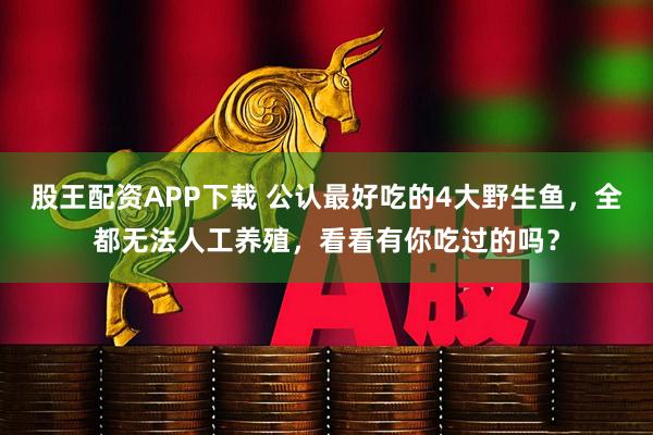 股王配资APP下载 公认最好吃的4大野生鱼，全都无法人工养殖，看看有你吃过的吗？