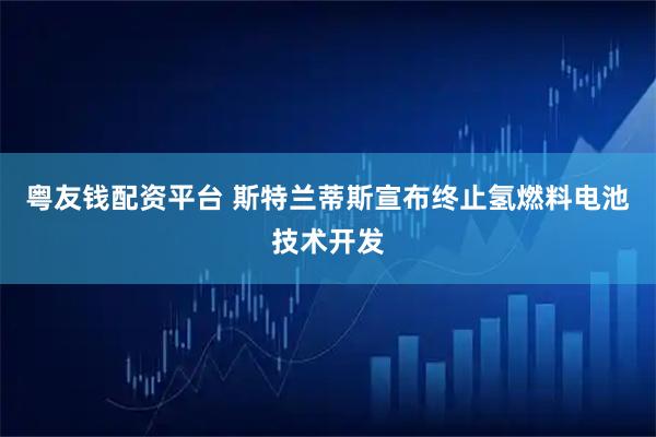 粤友钱配资平台 斯特兰蒂斯宣布终止氢燃料电池技术开发